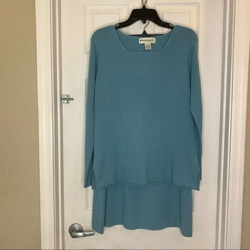 Appleseeds Skirt and Top Set Blue Size Large
